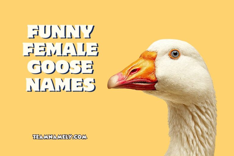 funny female goose names