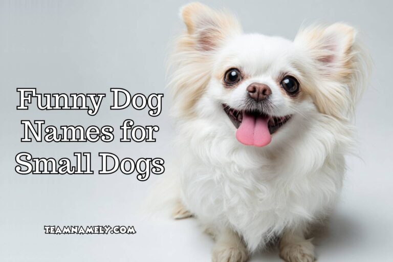 funny dog names for small dogs